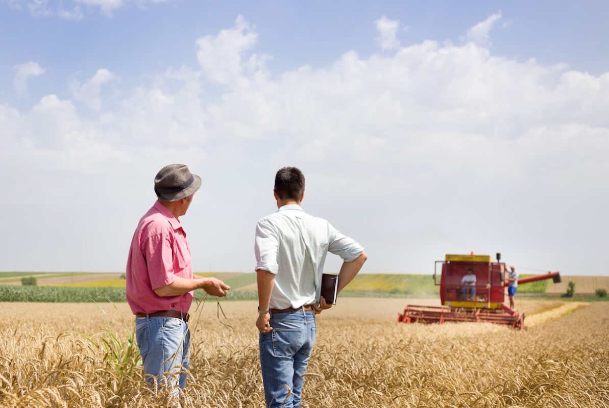 Agriculture, terres agricoles, france, souveraineté alimentaire, exportation, importation, rapport, Terre de Liens, loi d'orientation agricole